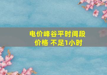 电价峰谷平时间段价格 不足1小时